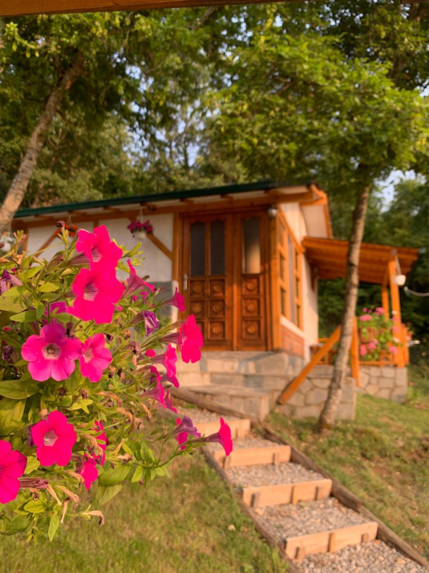 Sunset House Apartment Ohrida Exterior foto